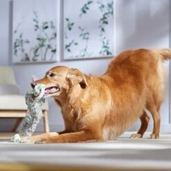 Frisco Easter Bunny Plush With Rope Squeaky Dog Toy -Frisco Sales Store 304974 PT4. AC SS1800 V1702500566