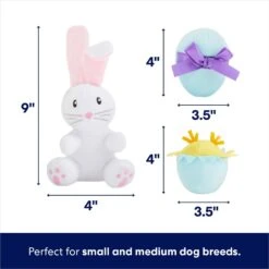 Frisco Easter Basket Hide & Seek Puzzle Plush Squeaky Dog Toy 2 Frisco Easter Basket Hide & Seek Puzzle Plush Squeaky Dog Toy -Frisco Sales Store 304982 PT2. AC SS1800 V1702665735