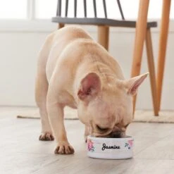 Frisco Personalized Rustic Ceramic Dog & Cat Bowl -Frisco Sales Store 306763 PT4. AC SS1800 V1639518086