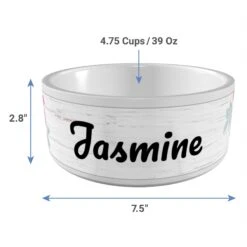 Frisco Personalized Rustic Ceramic Dog Bowl, 4.75-cup, 38oz -Frisco Sales Store 306764 PT3. AC SS1800 V1636036401