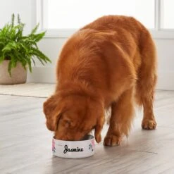 Frisco Personalized Rustic Ceramic Dog Bowl, 4.75-cup, 38oz -Frisco Sales Store 306764 PT4. AC SS1800 V1639518092