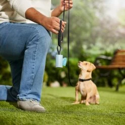 Frisco Dog Poop Bag Square Design Dispenser 5 Frisco Dog Poop Bag Square Design Dispenser -Frisco Sales Store 309816 PT5. AC SS1800 V1670276147