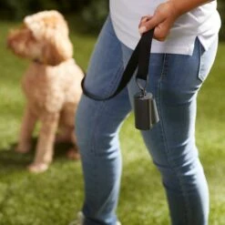 Frisco Poop Bag Square Design Dispenser 5 Frisco Poop Bag Square Design Dispenser -Frisco Sales Store 309818 PT5. AC SS1800 V1669101248