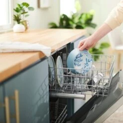 Frisco Coral Design Stainless Steel Dog & Cat Bowl -Frisco Sales Store 311972 PT7. AC SS1800 V1642543254