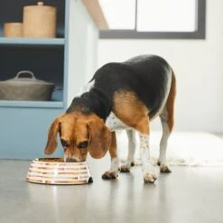 Frisco Copper Print Design Stainless Steel Dog & Cat Bowl -Frisco Sales Store 311975 PT2. AC SS1800 V1642542895