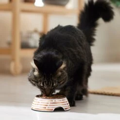 Frisco Copper Print Design Stainless Steel Dog & Cat Bowl -Frisco Sales Store 311975 PT3. AC SS1800 V1642542357