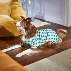 Frisco Boho Gingham Dog & Cat PJs 5 Frisco Boho Gingham Dog & Cat PJs -Frisco Sales Store 312272 PT8. AC SS1800 V1644880063