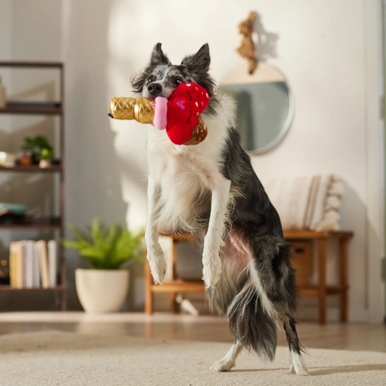 Frisco Valentine Ice Cream Plush Squeaky Dog Toy Frisco Valentine Ice Cream Plush Squeaky Dog Toy -Frisco Sales Store 312895 PT3. AC SS1800 V1701364917