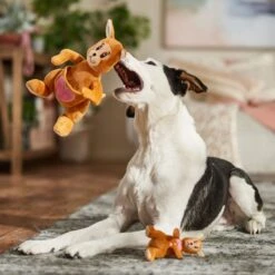 Frisco Valentine Kangaroo & Joey Plush Squeaky Dog Toy -Frisco Sales Store 312899 PT3. AC SS1800 V1701364918