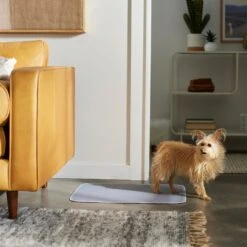 Frisco Washable Dog Potty Pads -Frisco Sales Store 315712 PT3. AC SS1800 V1644880410