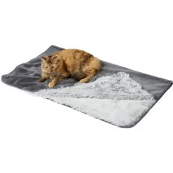 Frisco Sofa Pet Bed With Removable Cover & Frisco Eyelash Cat & Dog Blanket -Frisco Sales Store 319504 PT5. AC SS1800 V1630619791