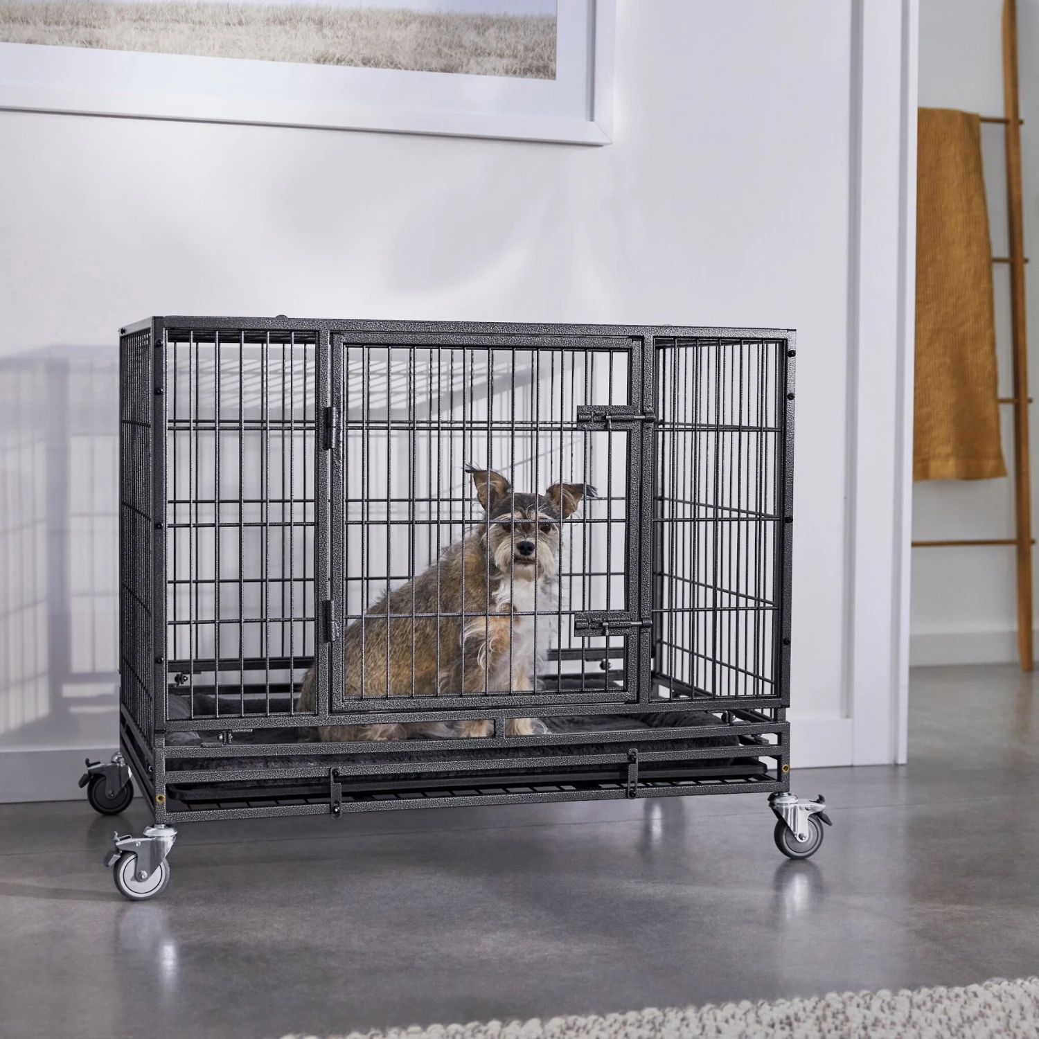 Frisco Ultimate Lightweight Heavy Duty Foldable & Stackable Steel Metal Single Door Dog Crate Frisco Ultimate Lightweight Heavy Duty Foldable & Stackable Steel Metal Single Door Dog Crate -Frisco Sales Store 326416 MAIN. AC SS1800 V1644257833