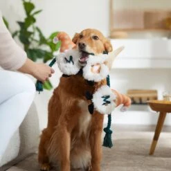 Frisco Mother's Day Gnomes Plush With Rope Squeaky Dog Toy -Frisco Sales Store 327037 PT3. AC SS1800 V1646948102