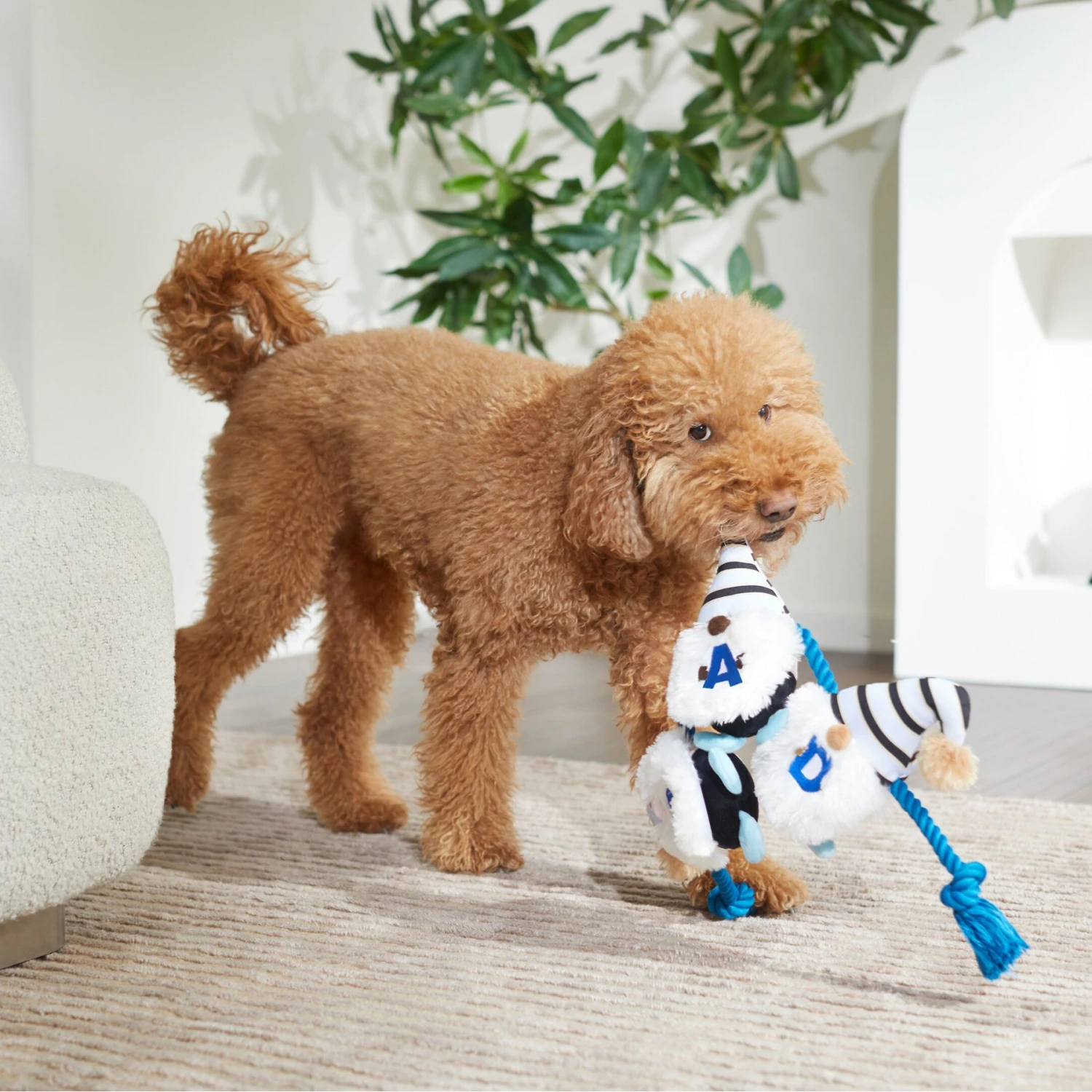 Frisco Dad Gnome Plush with Rope Dog Toy Frisco Dad Gnome Plush With Rope Dog Toy -Frisco Sales Store 327053 PT3. AC SS1800 V1648667286