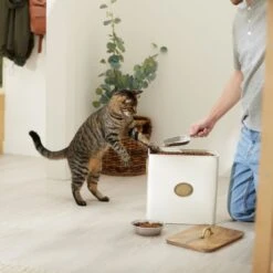 Frisco Premium Airtight Dog & Cat Food Storage Canister With Scoop -Frisco Sales Store 331486 PT3. AC SS1800 V1657656891