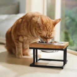 Frisco Premium Wood Elevated Single Dog & Cat Bowl -Frisco Sales Store 331493 PT3. AC SS1800 V1657656892