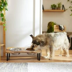 Frisco Premium Wood Elevated Bone Shape Stainless Steel Double Diner Dog & Cat Bowl, 3 Cup 2 Frisco Premium Wood Elevated Bone Shape Stainless Steel Double Diner Dog & Cat Bowl, 3 Cup -Frisco Sales Store 331497 PT2. AC SS1800 V1657656892