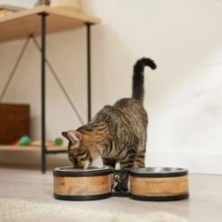 Frisco Premium Elevated Bone Design Stainless Steel Double Diner Dog & Cat Bowl -Frisco Sales Store 331499 PT3. AC SS1800 V1657656892