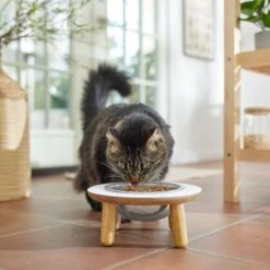 Frisco Premium Round Shape Elevated Single Dog & Cat Bowl -Frisco Sales Store 331502 PT3. AC SS1800 V1657656892