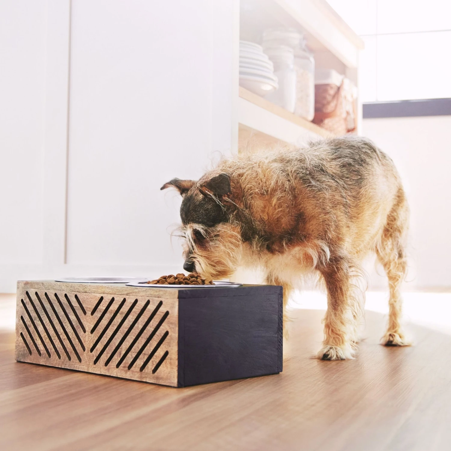 Frisco Premium Wood Elevated Stainless Steel Double Diner Dog & Cat Bowl, Black, 3 Cup Frisco Premium Wood Elevated Stainless Steel Double Diner Dog & Cat Bowl, Black, 3 Cup -Frisco Sales Store 331509 PT2. AC SS1800 V1657656894