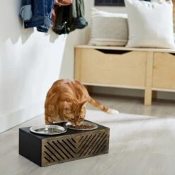Frisco Premium Wood Elevated Stainless Steel Double Diner Dog & Cat Bowl, Black, 3 Cup 3 Frisco Premium Wood Elevated Stainless Steel Double Diner Dog & Cat Bowl, Black, 3 Cup -Frisco Sales Store 331509 PT3. AC SS1800 V1657656894
