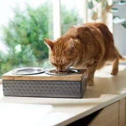 Frisco Premium Stainless Steel Double Diner Dog & Cat Bowl, Black -Frisco Sales Store 331532 PT3. AC SS1800 V1657656874