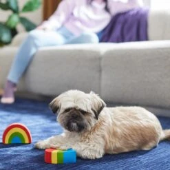 Frisco Pride Rainbow & Heart Latex Squeaky Dog Toy, 2 Count -Frisco Sales Store 331632 PT3. AC SS1800 V1647355825