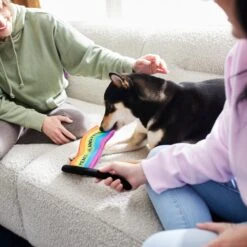 Frisco Pride Flag Flat Squeaky Dog Toy 2 Frisco Pride Flag Flat Squeaky Dog Toy -Frisco Sales Store 331640 PT3. AC SS1800 V1647355852