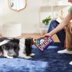 Frisco Pride Rainbow Plush With Rope Squeaky Dog Toy -Frisco Sales Store 331653 PT3. AC SS1800 V1647356026