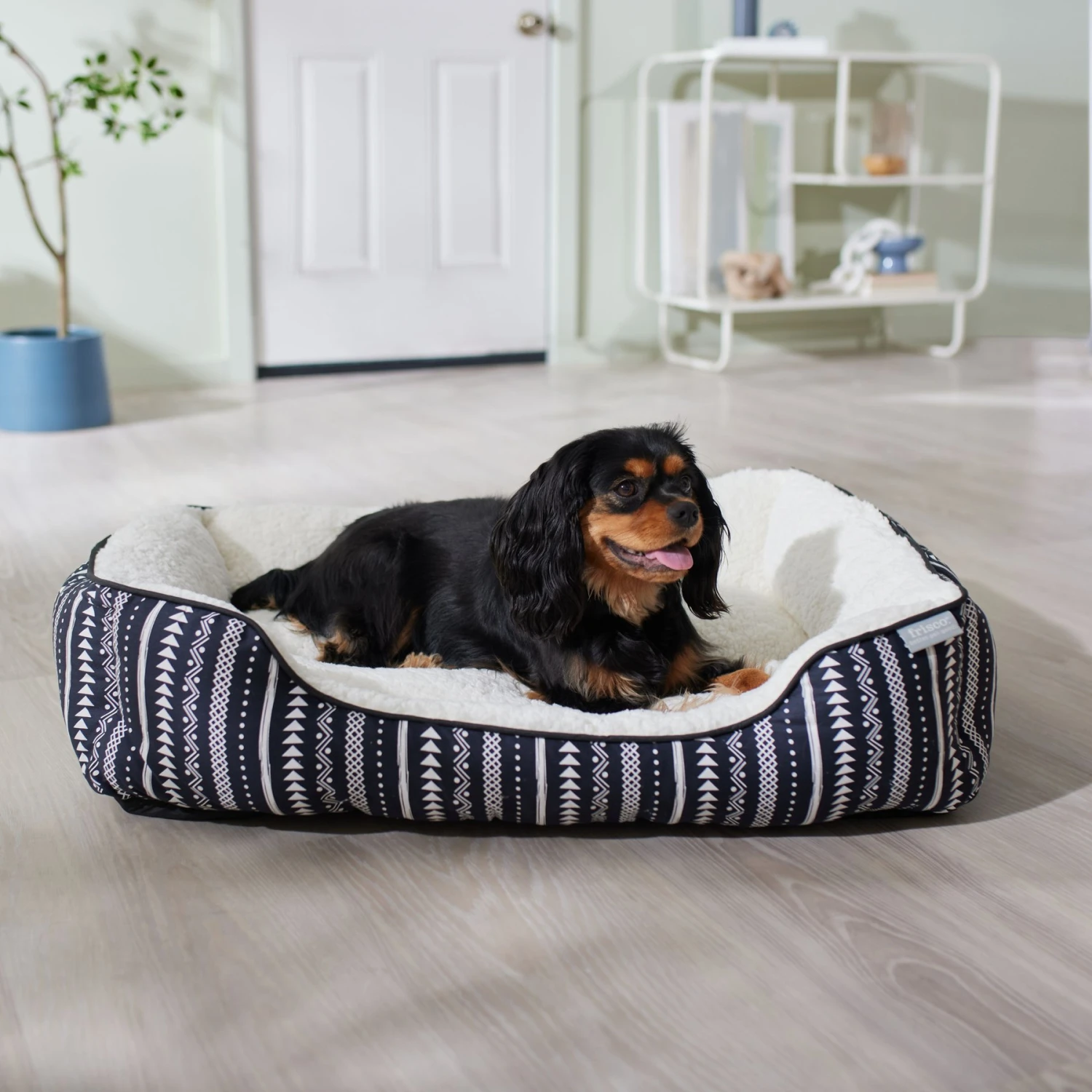Frisco SW Stripe Rectangular Dog & Cat Cuddler Frisco SW Stripe Rectangular Dog & Cat Cuddler -Frisco Sales Store 333893 MAIN. AC SS1800 V1658719229