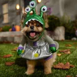 Frisco Front Walking Alien Dog & Cat Costume -Frisco Sales Store 334795 PT7. AC SS1800 V1657718966