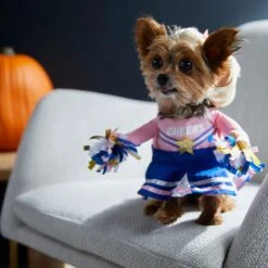 Frisco Front Walking Cheerleader Dog & Cat Costume -Frisco Sales Store 334854 PT7. AC SS1800 V1657730610