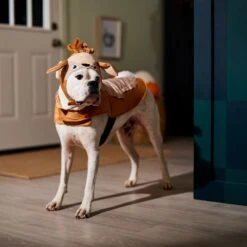 Frisco Deer Dog & Cat Costume 5 Frisco Deer Dog & Cat Costume -Frisco Sales Store 334874 PT7. AC SS1800 V1657720507