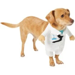 Frisco Front Walking Doctor Dog & Cat Costume -Frisco Sales Store 334900 PT3. AC SS1800 V1658344549