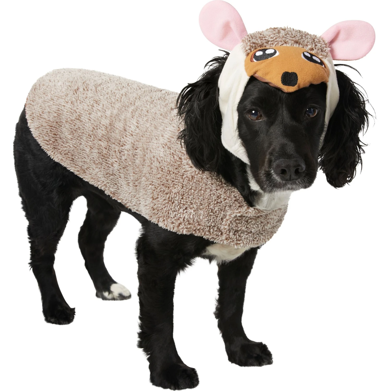 Frisco Hedgehog Dog & Cat Costume Frisco Hedgehog Dog & Cat Costume -Frisco Sales Store 334990 MAIN. AC SS1800 V1658348999