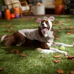 Frisco Hedgehog Dog & Cat Costume 5 Frisco Hedgehog Dog & Cat Costume -Frisco Sales Store 334990 PT7. AC SS1800 V1657732628