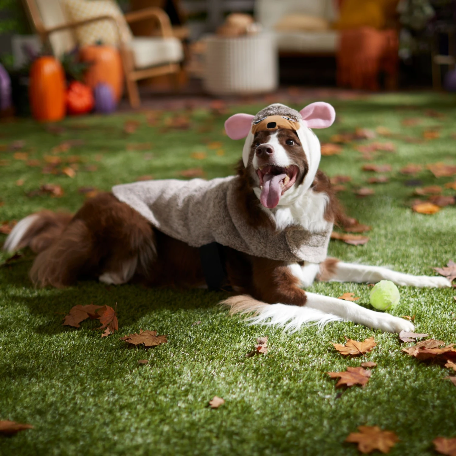 Frisco Hedgehog Dog & Cat Costume Frisco Hedgehog Dog & Cat Costume -Frisco Sales Store 334990 PT7. AC SS1800 V1657732628