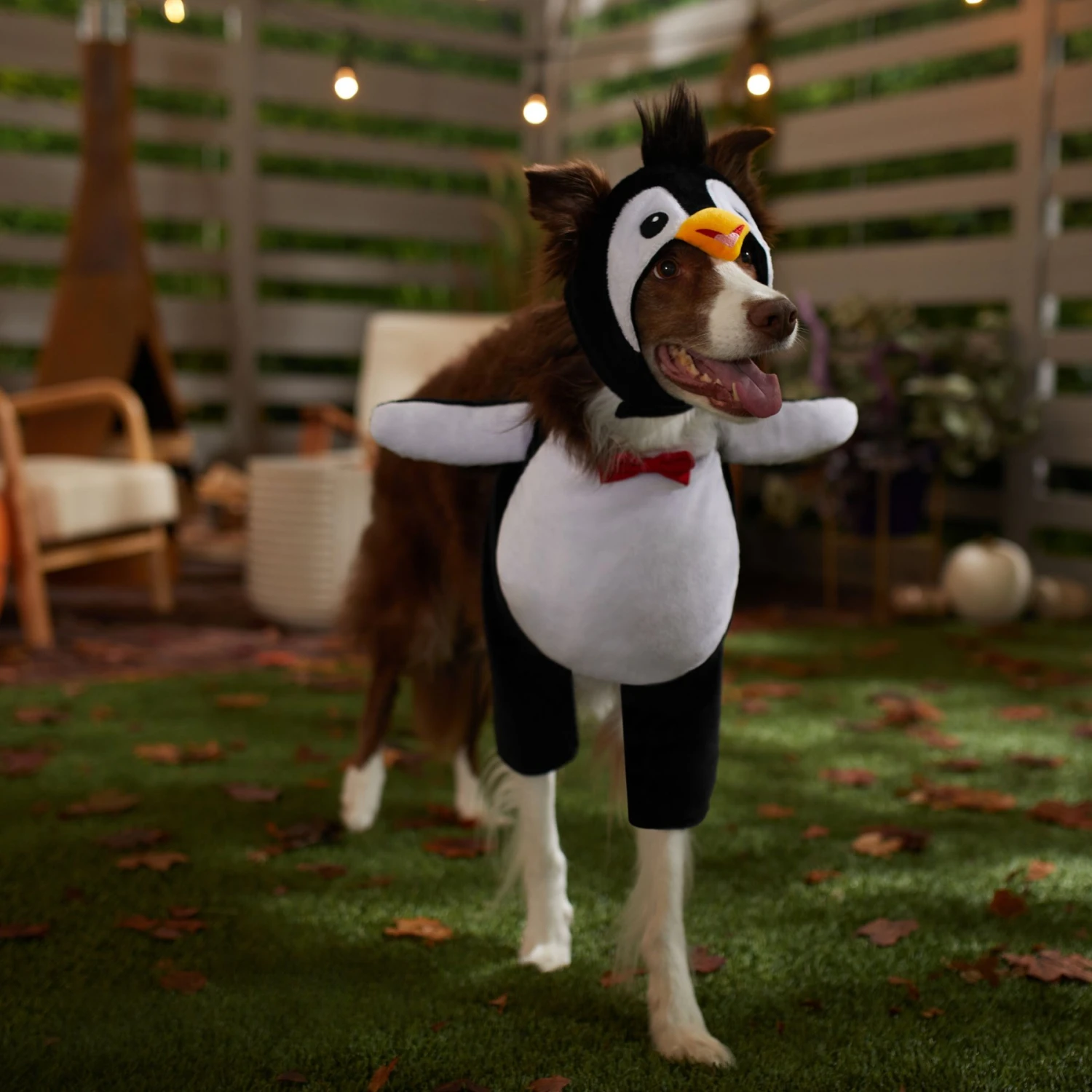 Frisco Front Walking Penguin Dog & Cat Costume Frisco Front Walking Penguin Dog & Cat Costume -Frisco Sales Store 335062 PT7. AC SS1800 V1657718971
