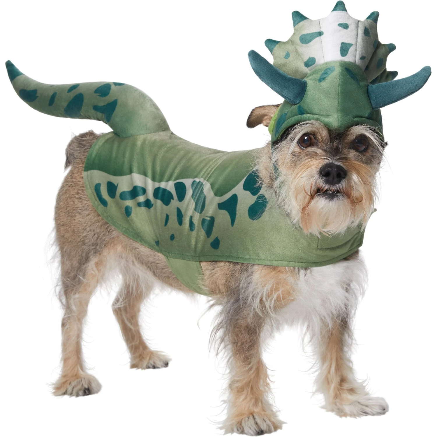 Frisco Triceratops Dog & Cat Costume Frisco Triceratops Dog & Cat Costume -Frisco Sales Store 335093 MAIN. AC SS1800 V1658349178