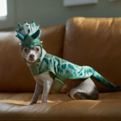 Frisco Triceratops Dog & Cat Costume 6 Frisco Triceratops Dog & Cat Costume -Frisco Sales Store 335093 PT7. AC SS1800 V1657659565