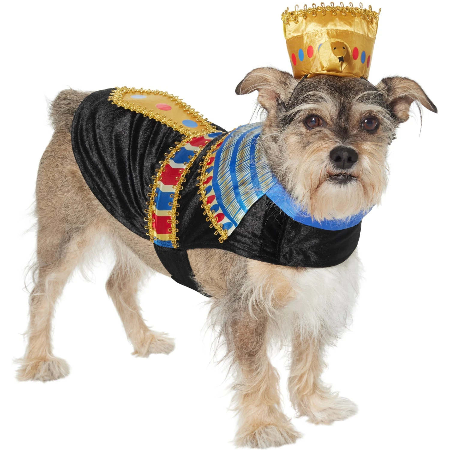 Frisco Royal Pharoah Dog & Cat Costume Frisco Royal Pharoah Dog & Cat Costume -Frisco Sales Store 335114 MAIN. AC SS1800 V1658346560