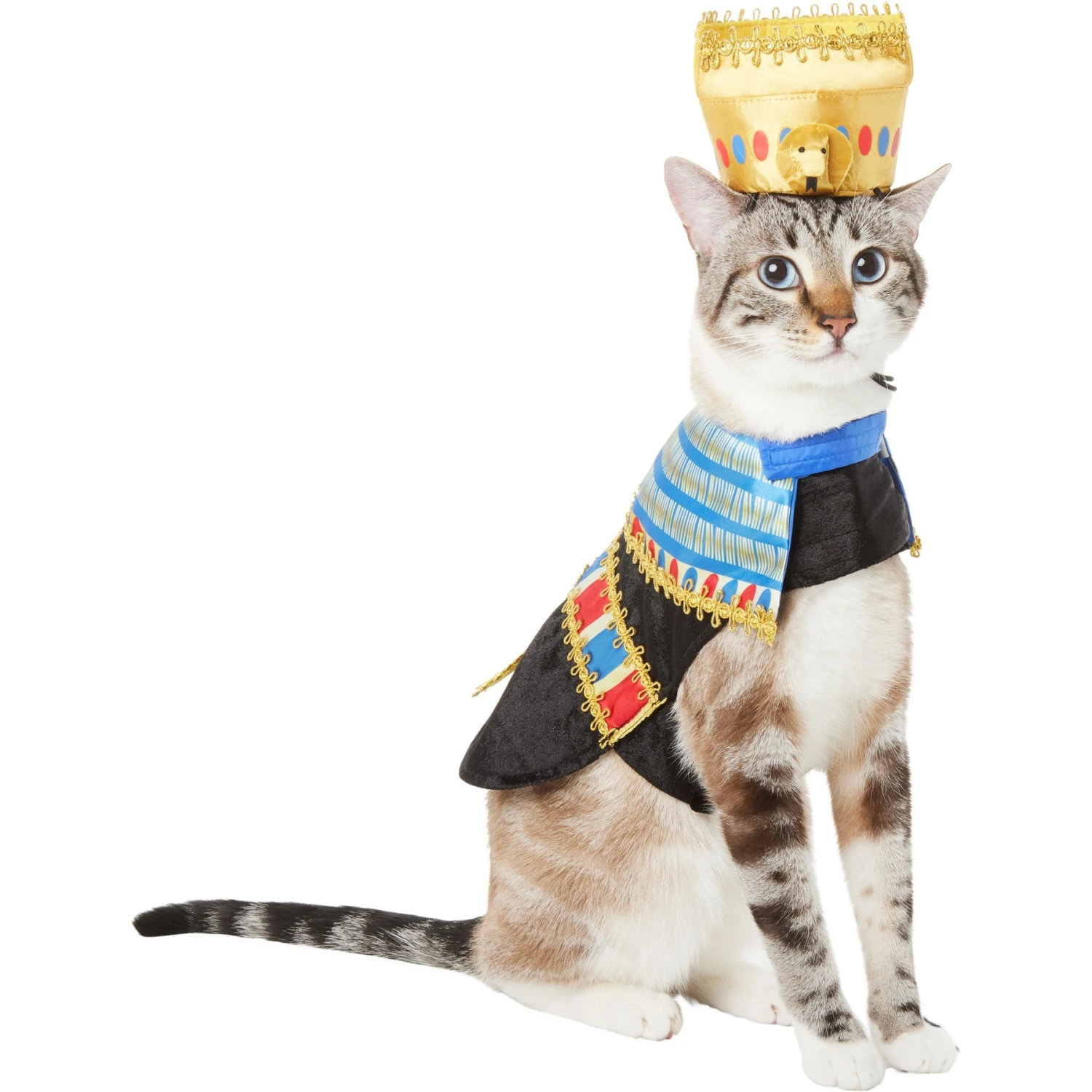 Frisco Royal Pharoah Dog & Cat Costume Frisco Royal Pharoah Dog & Cat Costume -Frisco Sales Store 335114 PT2. AC SS1800 V1658349300