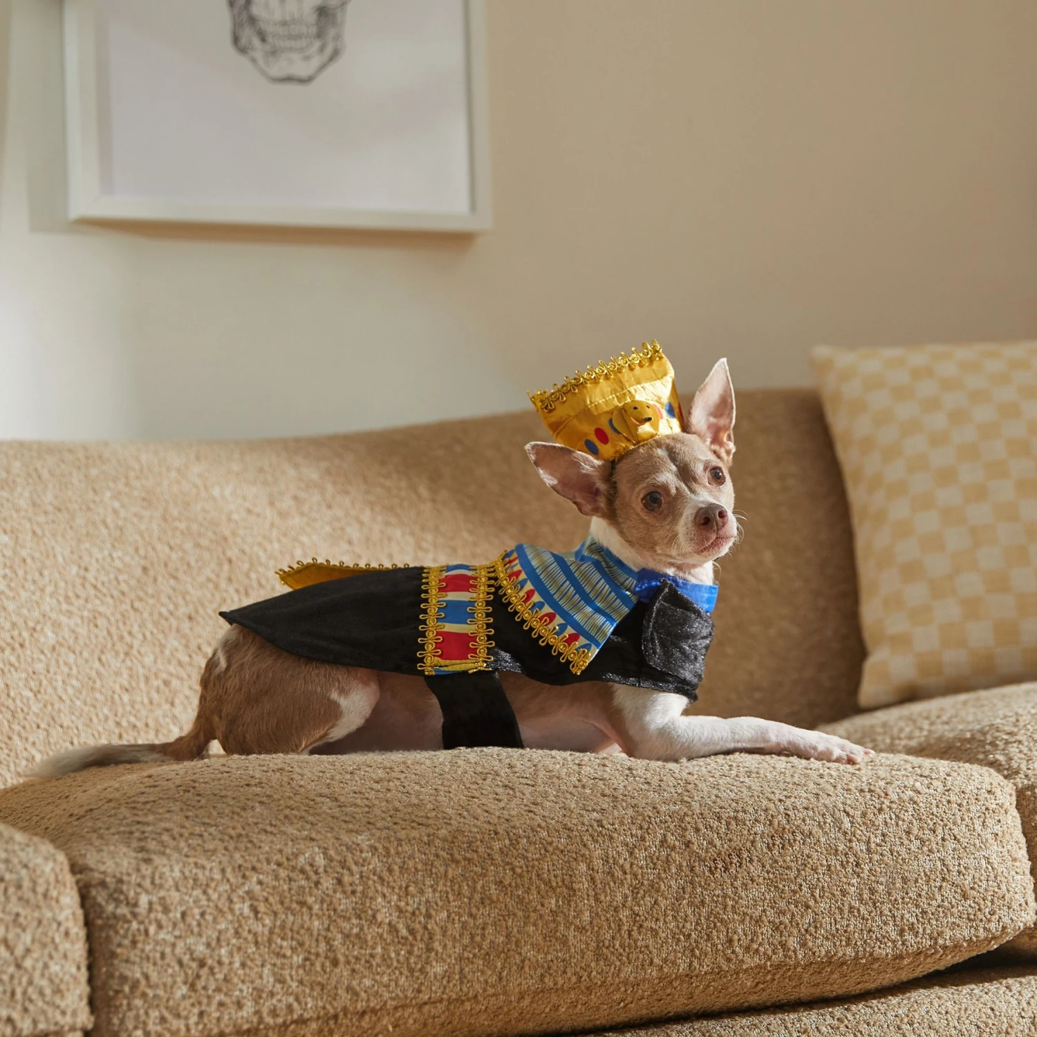 Frisco Royal Pharoah Dog & Cat Costume Frisco Royal Pharoah Dog & Cat Costume -Frisco Sales Store 335114 PT7. AC SS1800 V1659537098
