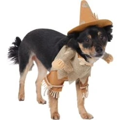 Frisco Front Walking Scarecrow Dog & Cat Costume -Frisco Sales Store 335135 PT3. AC SS1800 V1658349680
