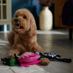 Frisco Halloween Flamingo Plush Squeaky Dog Toy -Frisco Sales Store 344123 PT3. AC SS1800 V1657657035