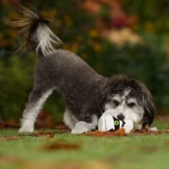 Frisco Halloween Mummy Latex Squeaky Dog Toy -Frisco Sales Store 344140 PT3. AC SS1800 V1657657042