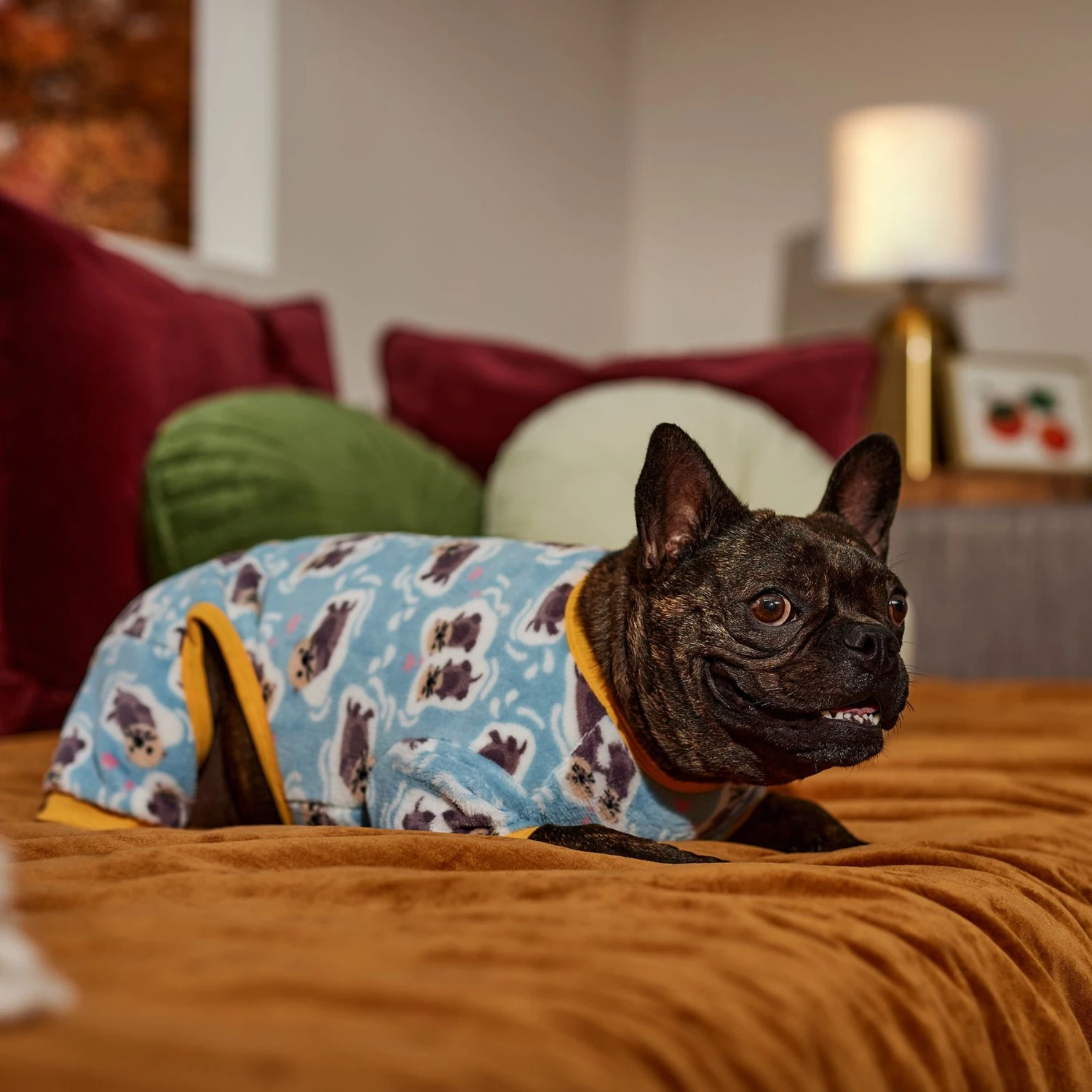 Frisco Love Otters Dog & Cat Fleece Pajamas Frisco Love Otters Dog & Cat Fleece Pajamas -Frisco Sales Store 353746 PT6. AC SS1800 V1660749811