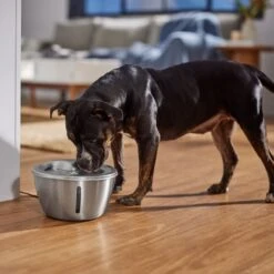 Frisco Stainless Steel Heart Dog & Cat Fountain -Frisco Sales Store 355816 PT5. AC SS1800 V1665684540