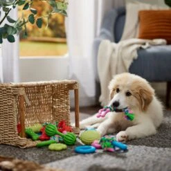 Frisco Small Breed Puppies Rope & TPR Variety Pack Puppy Toy -Frisco Sales Store 358552 PT4. AC SS1800 V1669908588