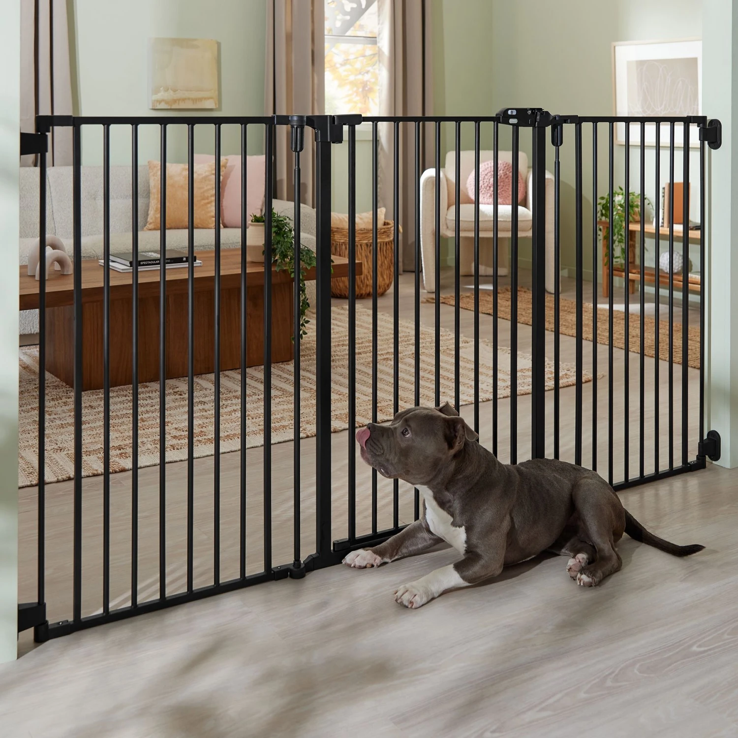 Frisco Steel 3-Panel Configurable Gate, 41-in Height Frisco Steel 3-Panel Configurable Gate, 41-in Height -Frisco Sales Store 361648 MAIN. AC SS1800 V1659972525